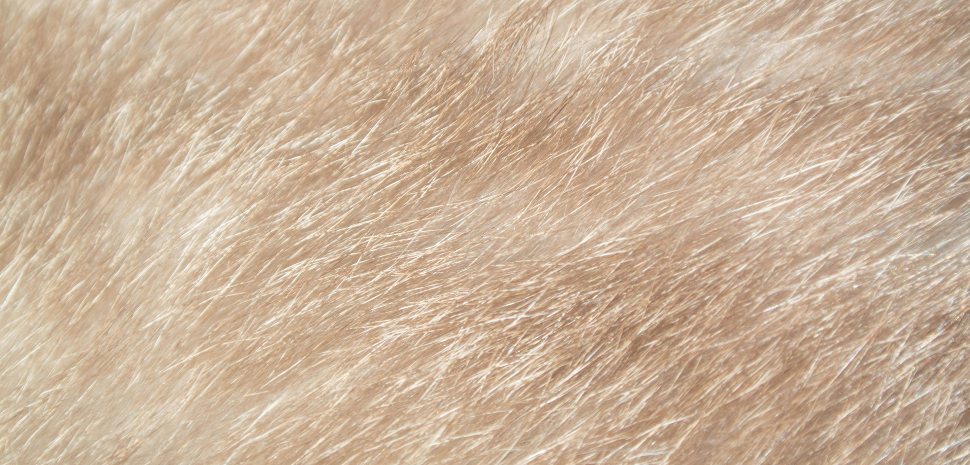Sustainable_approach_banner2.jpg