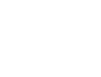module_image_43