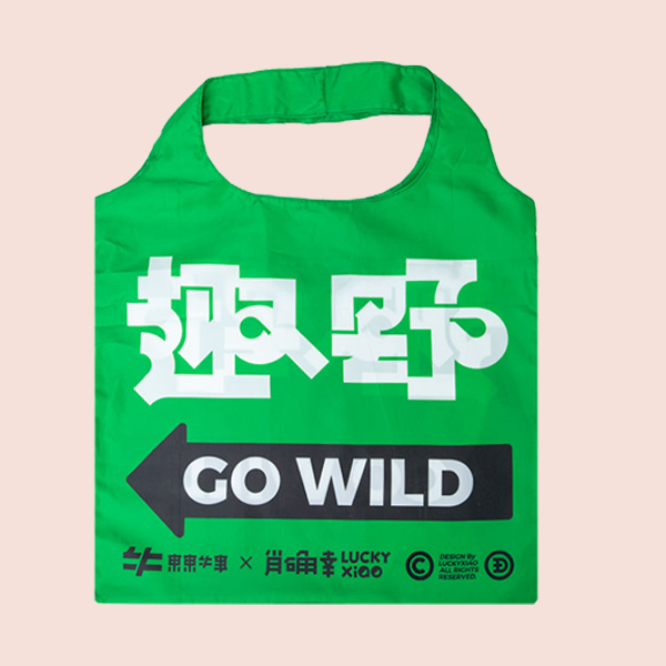 Original Design Waterproof Recycle Polyester Nylon Folding Shopping Bag