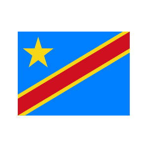 Delivery of Custom Supplies for the 2019 DRC Election Project