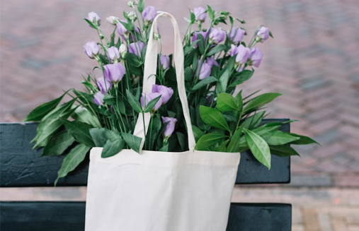 Canvas Bags: A Fashionable Statement for a Greener Planet