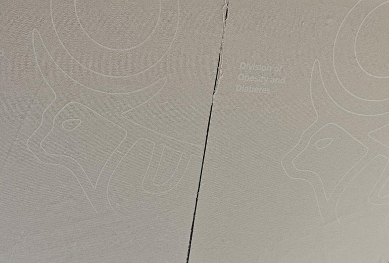 Novo Nordisk 2,600 Custom Canvas Bags, Delivered On Time in 12 Days