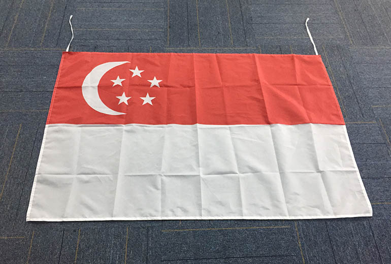 Singapore Flag Order Success Story