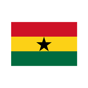 Government of Ghana (2019 Election)