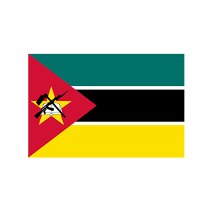 Mozambique 2019 Election: Gahumi Delivering 1 Million Custom Products in 25 Days