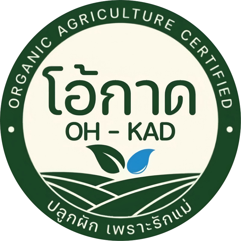 Thai Ohkajhu Supermarket -Customized 15,000 Shopping Bags