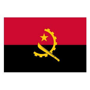Angola Election Project: 1,300,100 Supplies Shipped in 28 Days