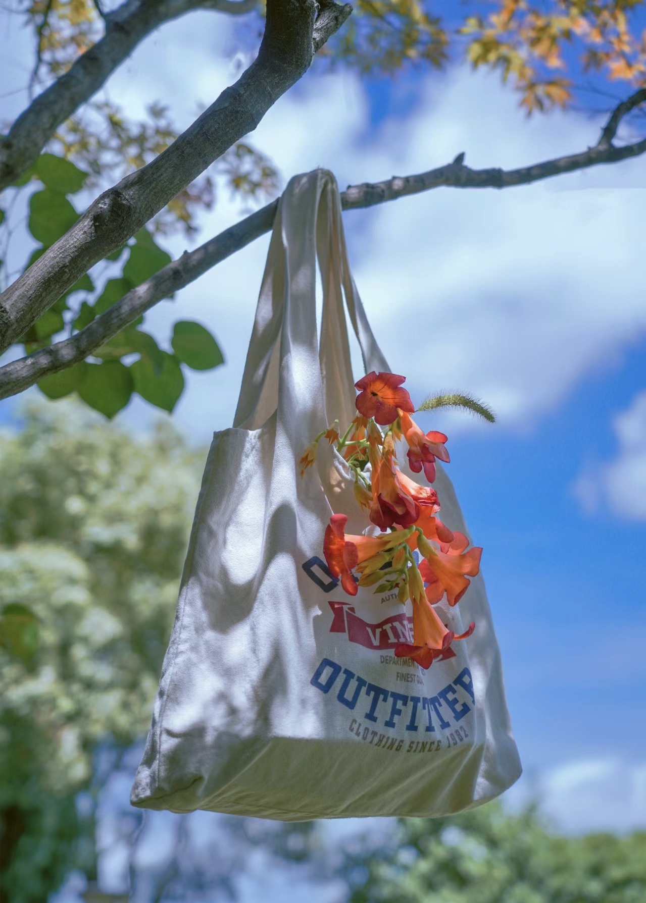 The Rise of Canvas Bags: Becoming an Eco-Friendly Fashion Icon