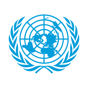 United Nations: Delivering 20,000 Flags in 25 Days & Securing 5-Year Repeat Order Cooperation
